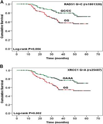 Understanding Role of DNA Repair and Cytochrome p-450 Gene Polymorphisms in Cervical Cancer Patient Treated With Concomitant Chemoradiation